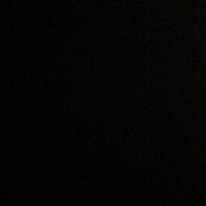 Meet your Posher, Wyatt